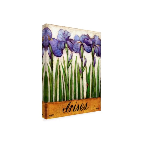 Daniel Patrick Kessler 'Irises Purple' Canvas Art,35x47